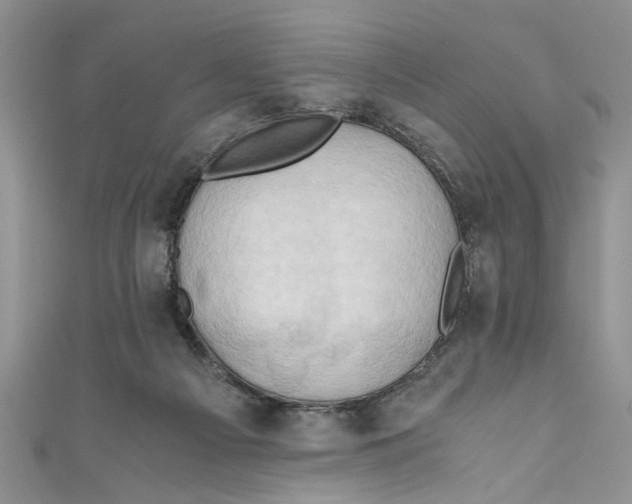 X0000111030121200907161332