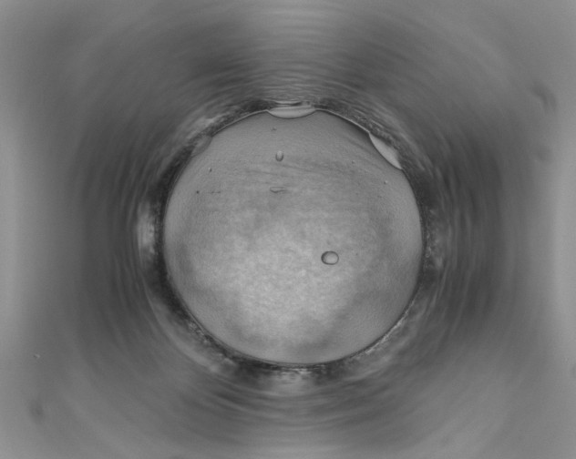 X0000111030124200907161332