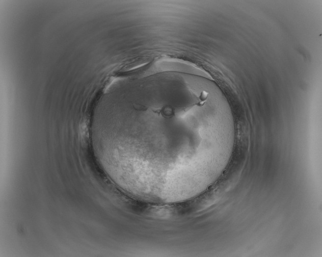 X0000111030127200907161332