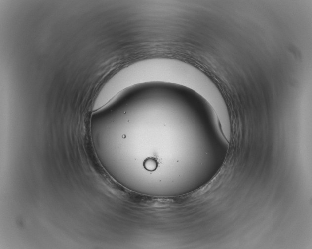 X0000111030128200907161332