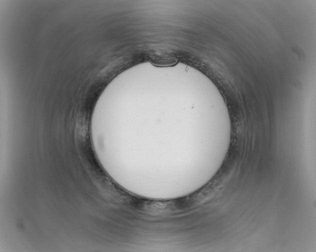 X0000111030129200907161332