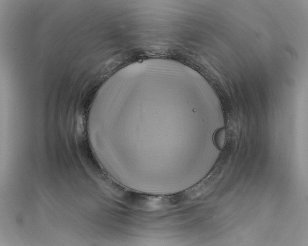 X0000111030130200907161332