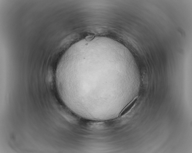 X0000111030132200907161332