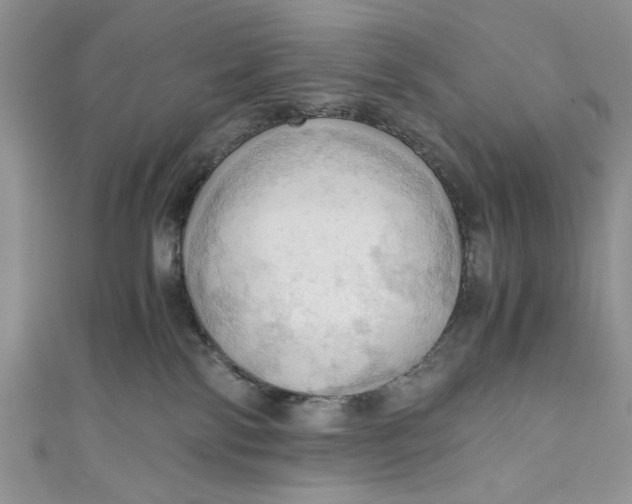 X0000111030138200907161332