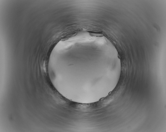 X0000111030139200907161332