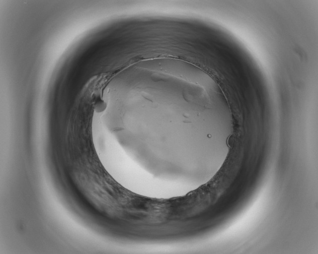 X0000111030143200907161332