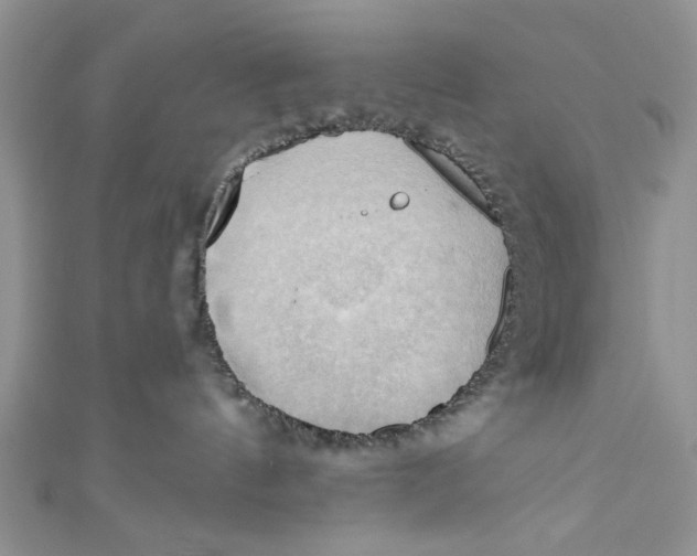 X0000111030144200907161332