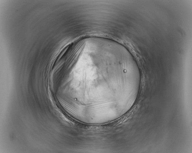 X0000111030145200907161331