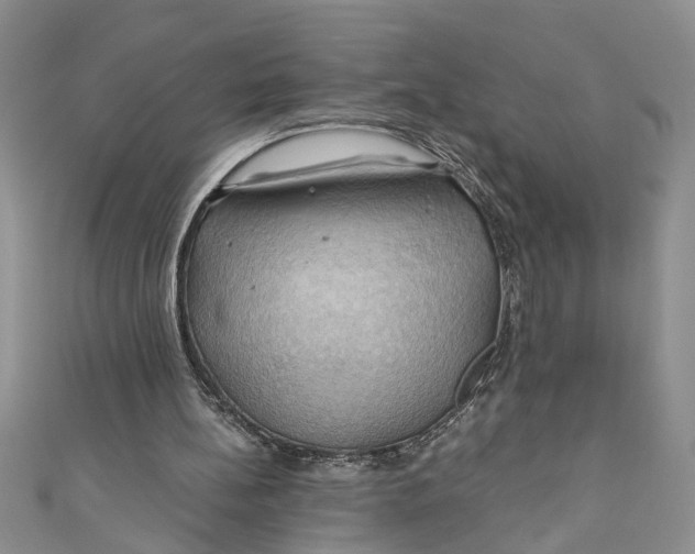 X0000111030148200907161331