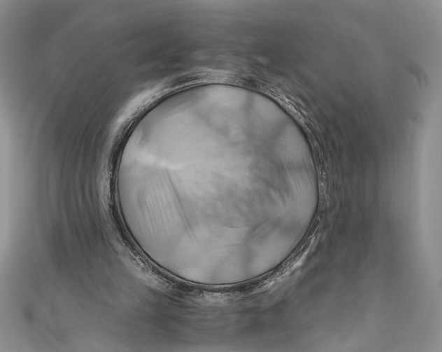 X0000111030149200907161331