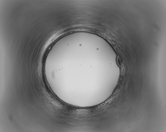 X0000111030150200907161332