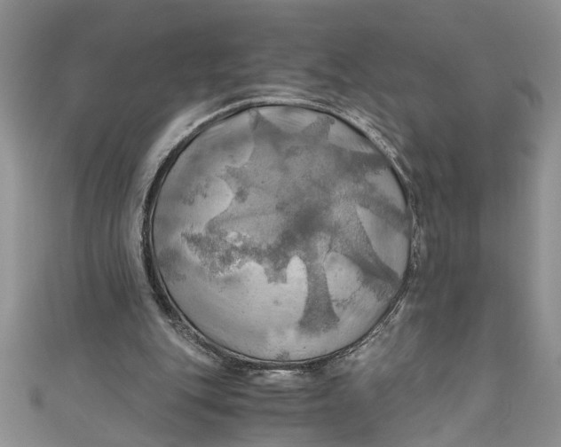 X0000111030151200907161332