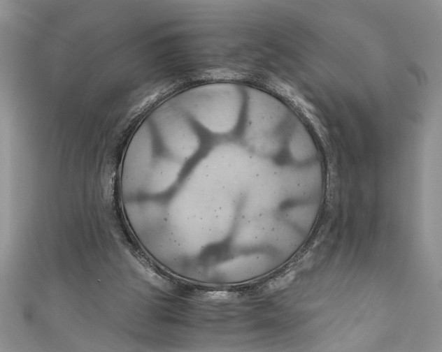 X0000111030153200907161332