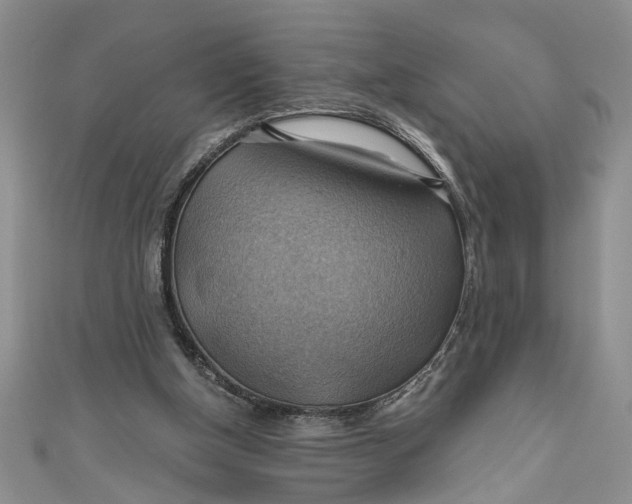 X0000111030154200907161332