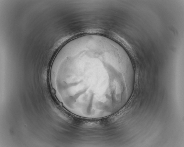 X0000111030155200907161332