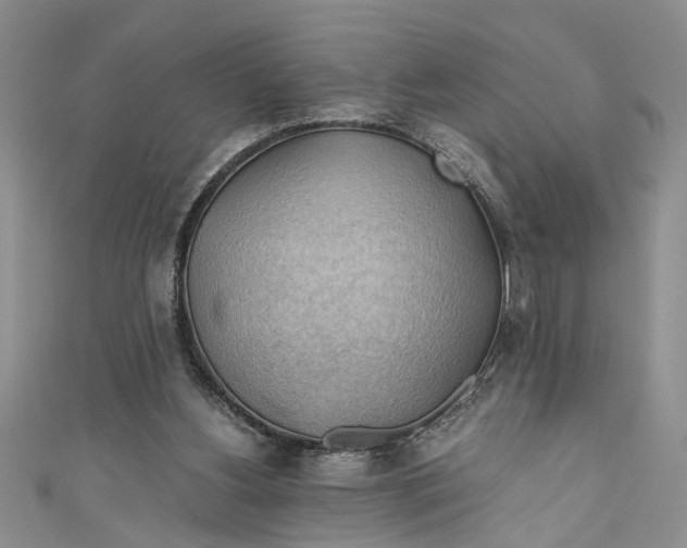 X0000111030156200907161332