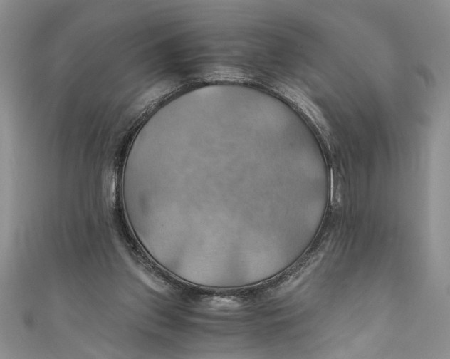 X0000111030157200907161332