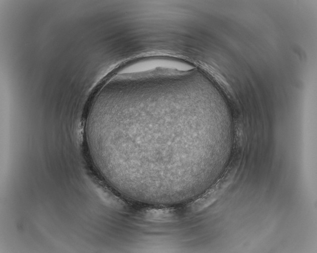 X0000111030160200907161332