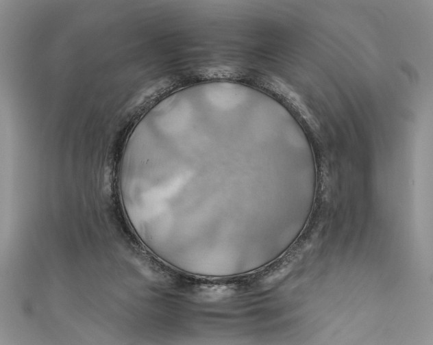 X0000111030161200907161332