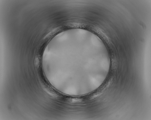 X0000111030165200907161332