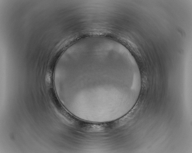 X0000111030166200907161332