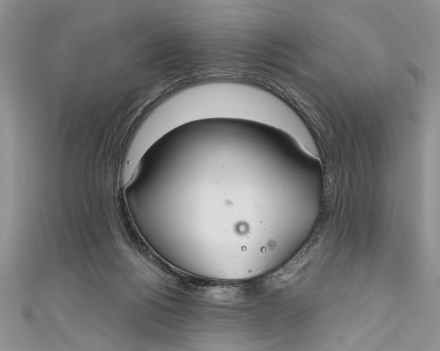 X0000111030168200907161332