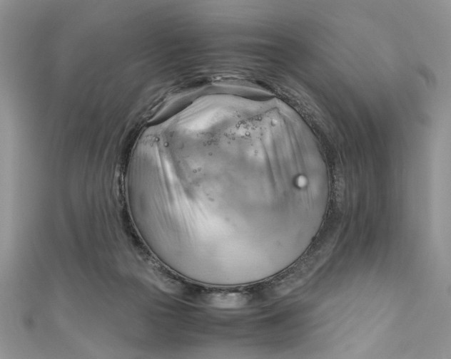 X0000111030169200907161332