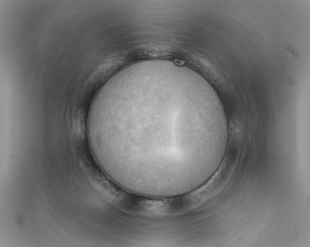 X0000111030170200907161332