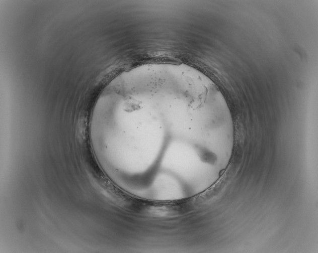 X0000111030171200907161332