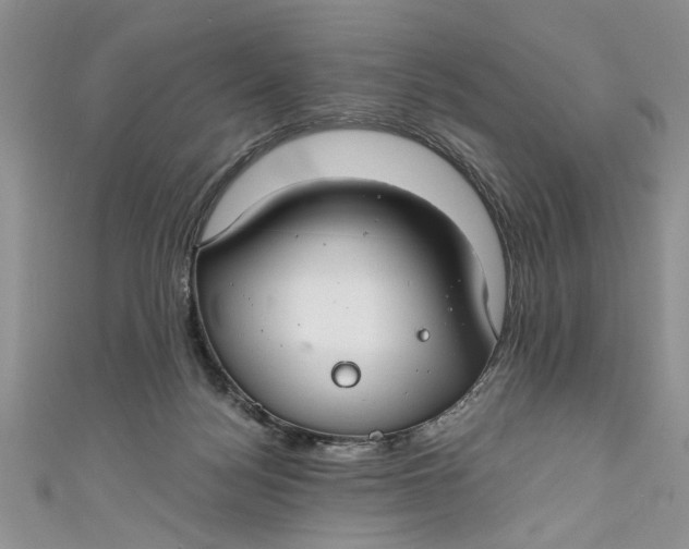 X0000111030172200907161332