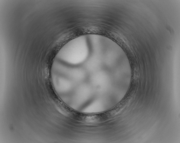 X0000111030173200907161332