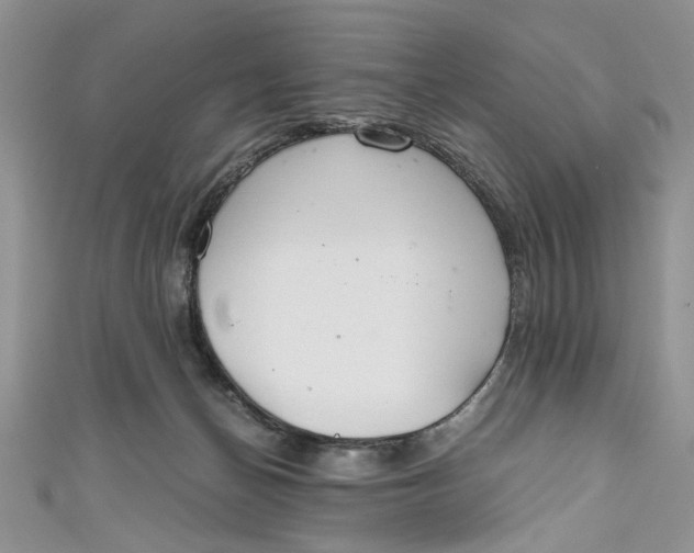 X0000111030174200907161332