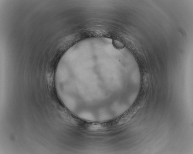 X0000111030177200907161332