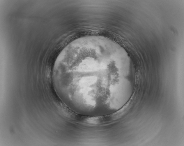 X0000111030178200907161332