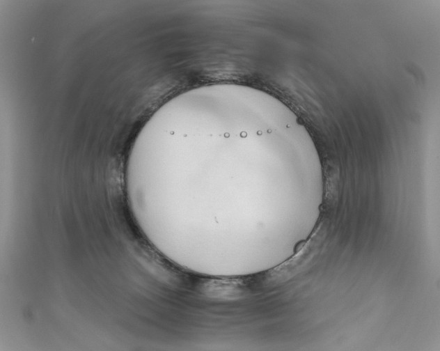 X0000111030179200907161332