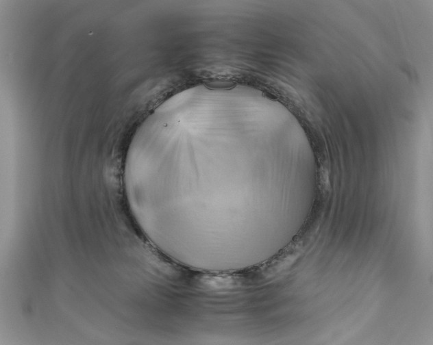 X0000111030181200907161332