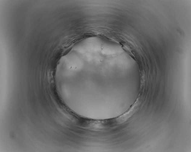 X0000111030182200907161332