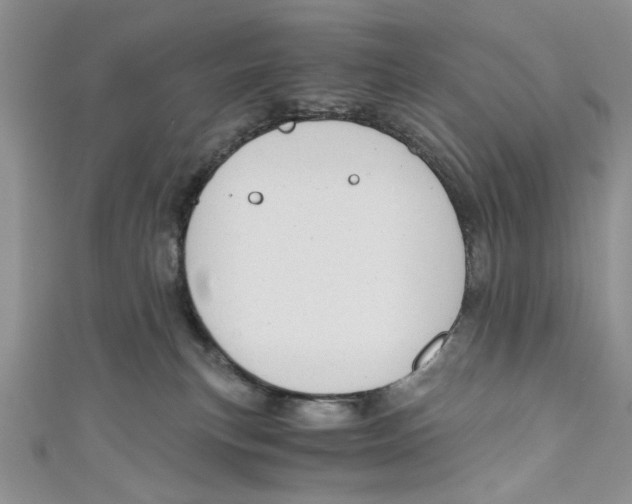 X0000111030183200907161332