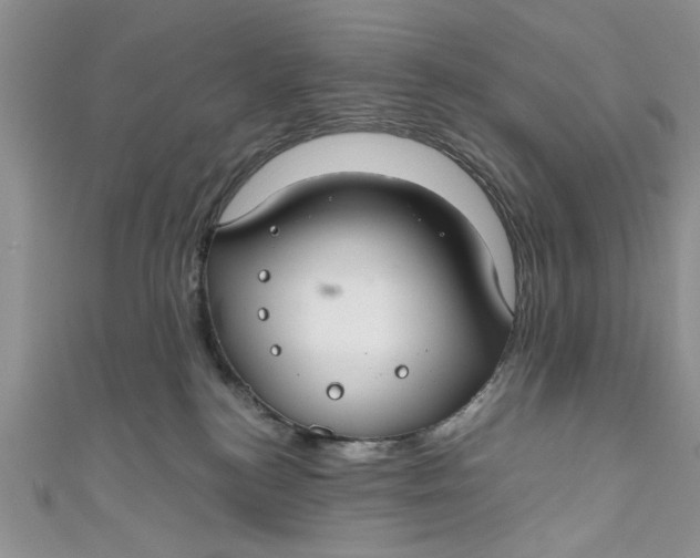 X0000111030184200907161332