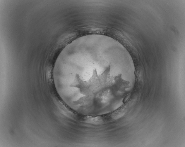 X0000111030185200907161332