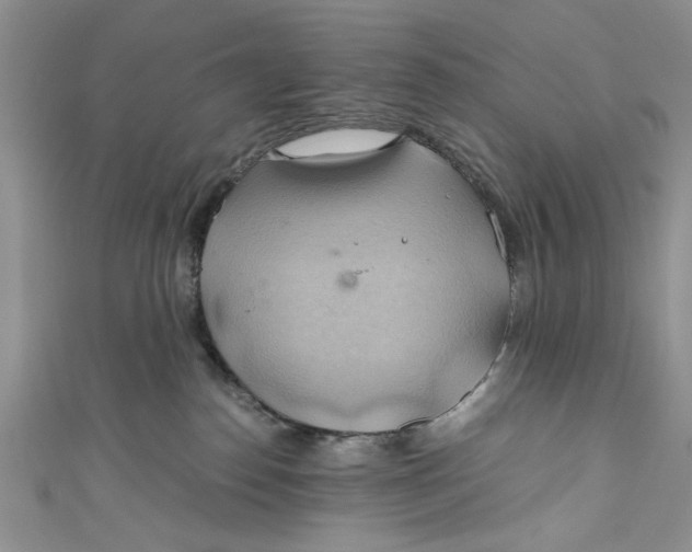 X0000111030186200907161332