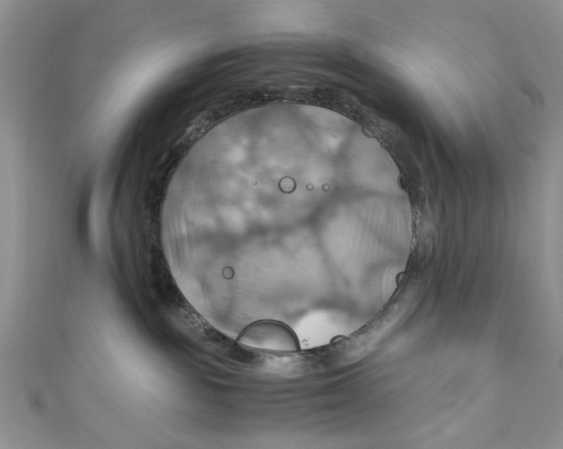 X0000111030189200907161332