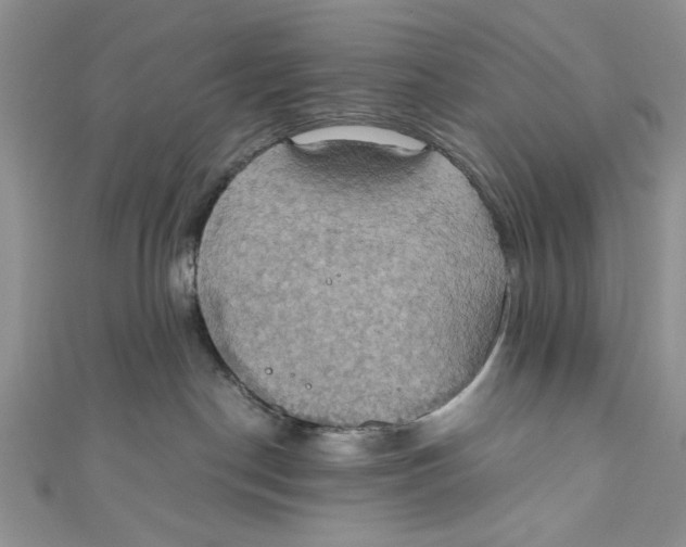 X0000111030190200907161332