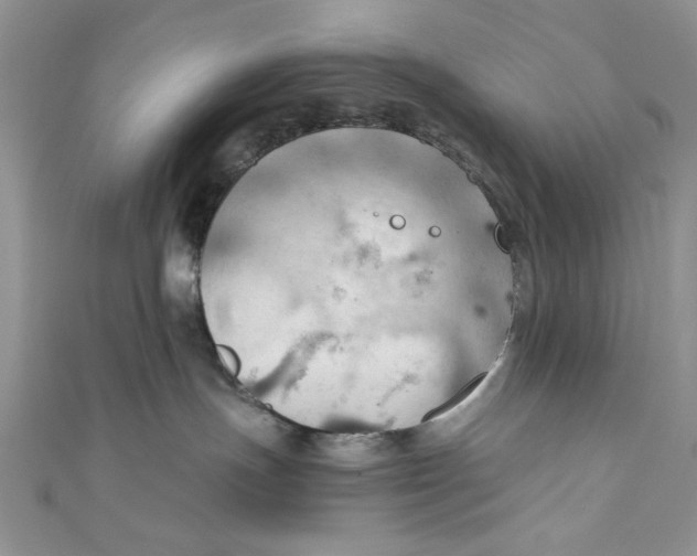 X0000111030191200907161332