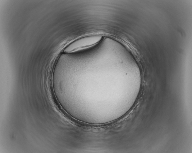 X0000111030193200907161331