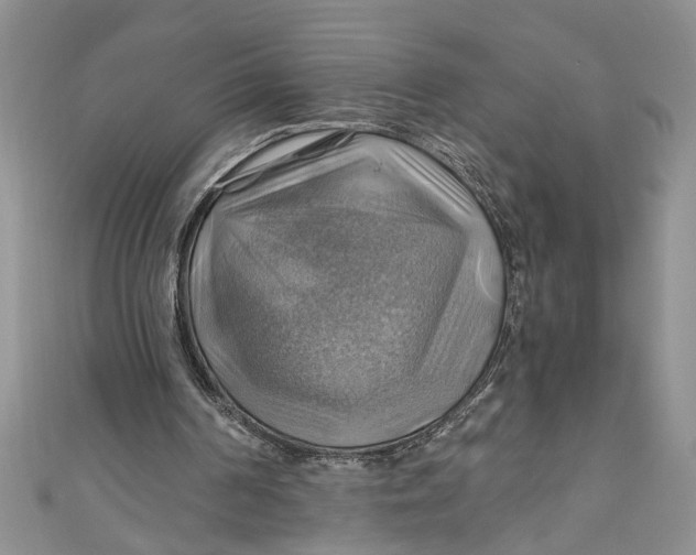 X0000111030194200907161331