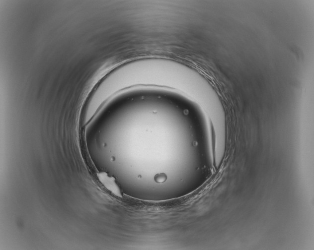 X0000111030195200907161331