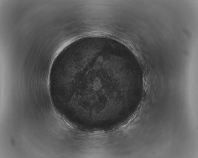 X0000111030196200907161331