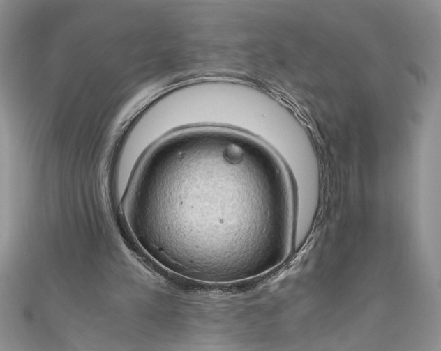 X0000111030197200907161331