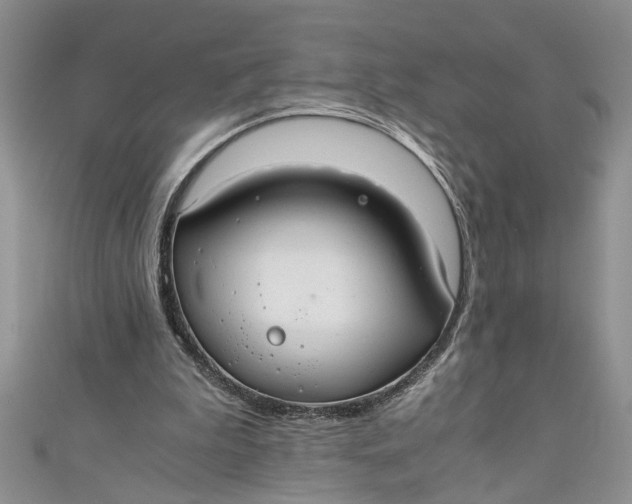 X0000111030199200907161331